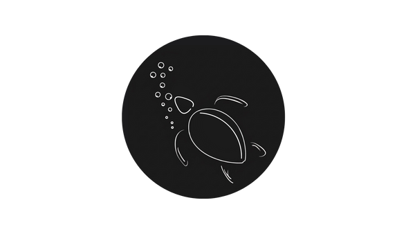 Black Turtle Collective